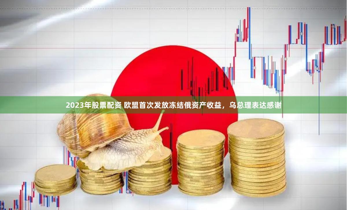 2023年股票配资 欧盟首次发放冻结俄资产收益，乌总理表达感谢