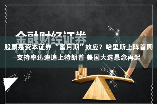 股票是资本证券 “蜜月期”效应？哈里斯上阵首周支持率迅速追上特朗普 美国大选悬念再起