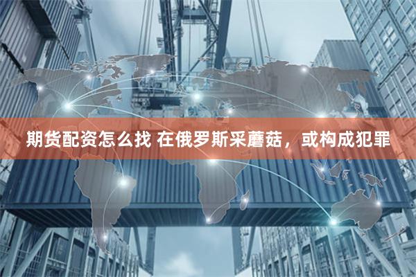 期货配资怎么找 在俄罗斯采蘑菇，或构成犯罪