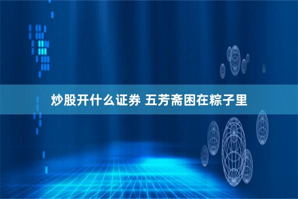 炒股开什么证券 五芳斋困在粽子里