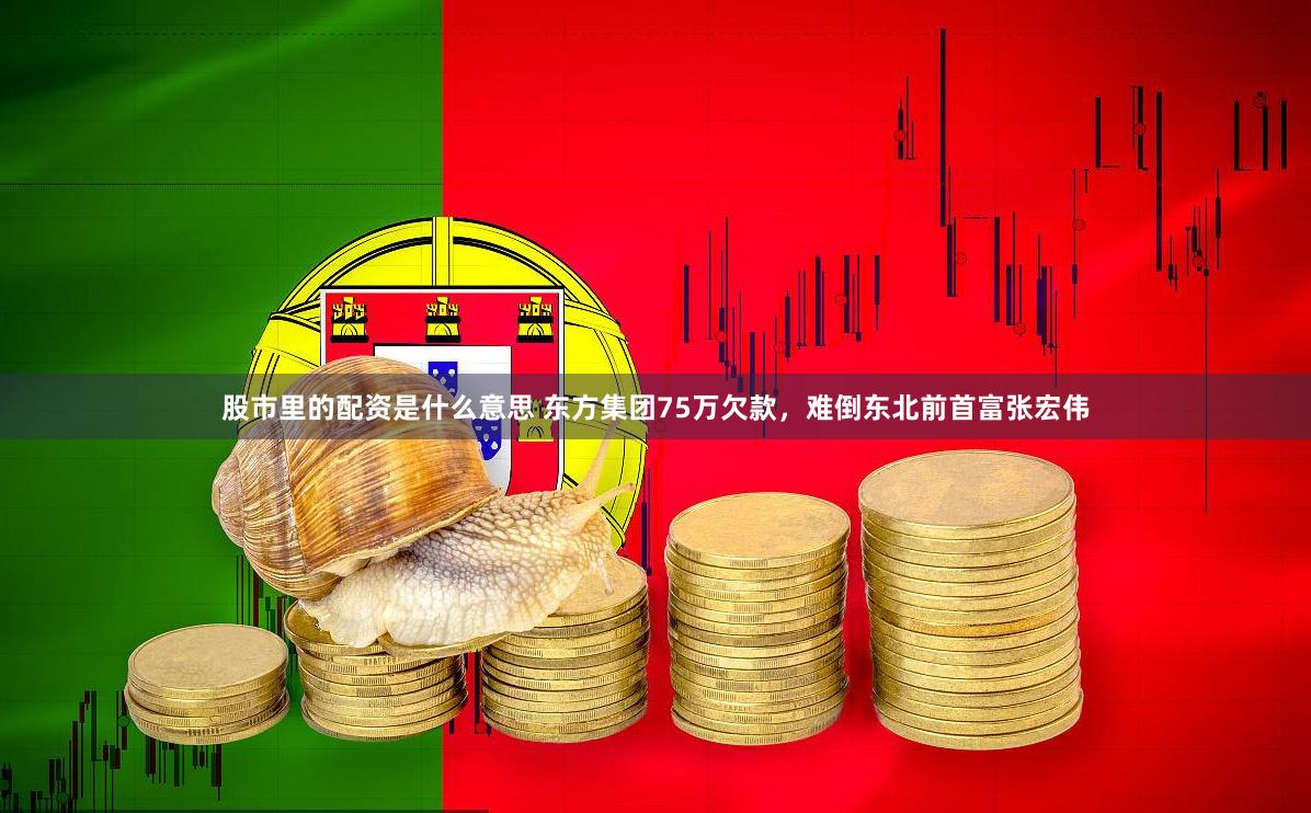 股市里的配资是什么意思 东方集团75万欠款，难倒东北前首富张宏伟