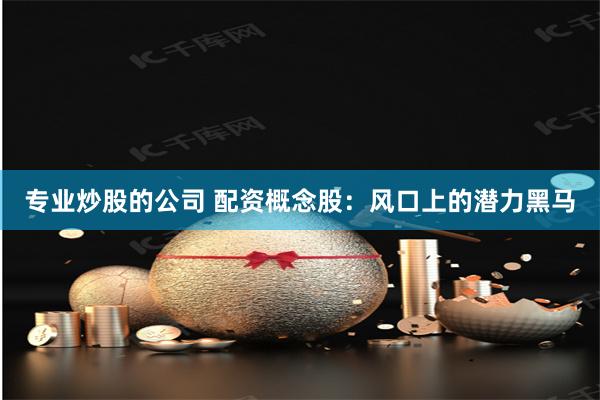 专业炒股的公司 配资概念股：风口上的潜力黑马